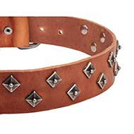 "The Pyramids" English Bulldog Leather Collar Attractive Design