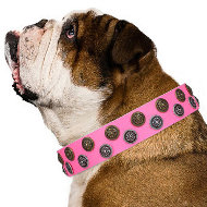 English Bulldog Girl Collar "Glamour Finery" FDT Artisan English Bulldog Girl Collar "Glamour Finery" FDT Artisan