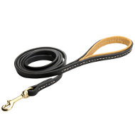 Leather Dog Leash for French Bulldog