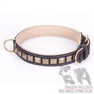 English Bulldog Leather Collar "Pyramid" with Nappa Padding and Brass Details