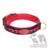English Bulldog Leather Collar "Heavy Fire" in Red and Black