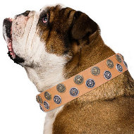 English Bulldog Leather Collar "Precious Sparkle" FDT Artisan English Bulldog Leather Collar "Precious Sparkle" FDT Artisan