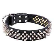 "Wasp Sting" English Bulldog Spiked Collar Extraordinary Style