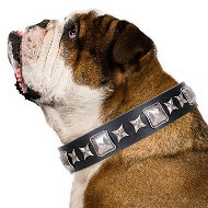 English Bulldog Leather Collar "Space Walk" FDT Artisan