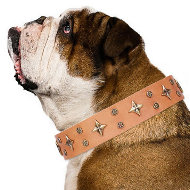 English Bulldog Leather Collar Artisan "Top Flight" with Stars English Bulldog Leather Collar Artisan "Top Flight" with Stars