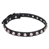 English Bulldog Studded Collar, Thin Leather with Faceted Cones