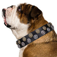 English Bulldog Studded Collar "Romantic Breeze" FDT Artisan