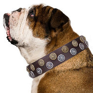 English Bulldog Studded Collar "Strong Shields" by FDT Artisan