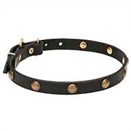Elegant Brass Studded Dog Collar Necklace for English Bulldog