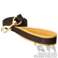 Nylon Dog Leash UK