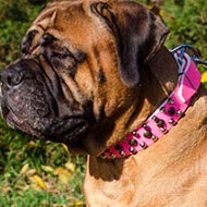 Female Bullmastiff Collar with Studs and Cones on Pink Leather Female Bullmastiff Collar with Studs and Cones on Pink Leather