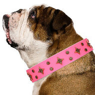 Female English Bulldog Collar Artisan "Chi-Chi Pink Rose" Female English Bulldog Collar Artisan "Chi-Chi Pink Rose"