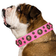 Female English Bulldog Collar "Pink of Perfection" FDT Artisan Female English Bulldog Collar "Pink of Perfection" FDT Artisan