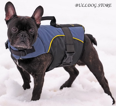 French Bulldog Harness UK