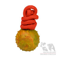 Dog Toy Ball with String for English Bulldog Training Activities