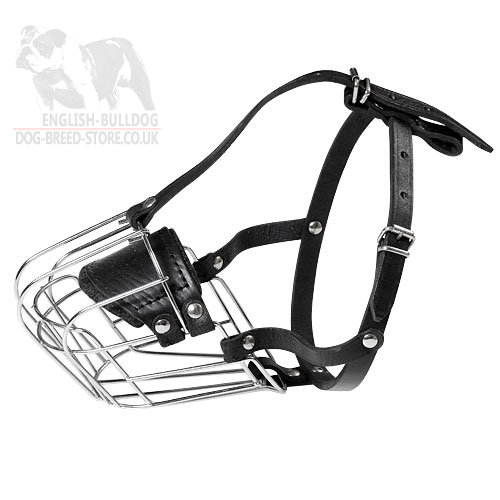 Basket Dog Muzzle of Wire for Bulldogs, Best for Daily Use - Click Image to Close