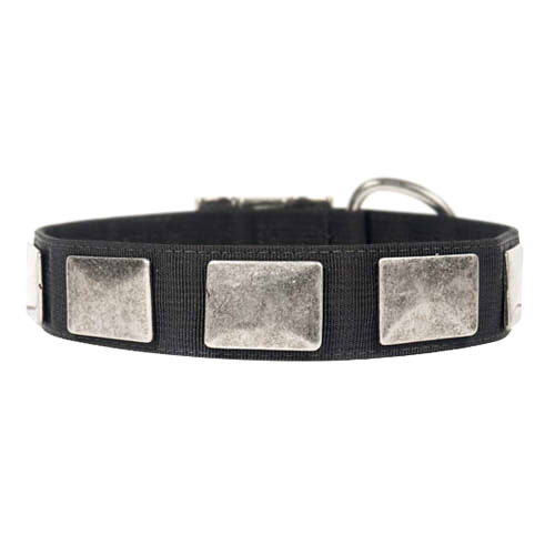 Gorgeous Nylon Collar with Old-Like Nickel Plates for Bulldog