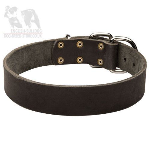 Leather Dog Collar for Bulldogs, Classic Design, 2 Inch Wide - Click Image to Close