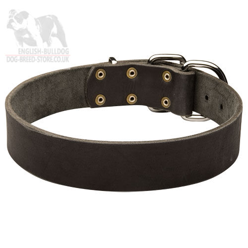 Leather Dog Collar for Bulldogs, Classic Design, 2 Inch Wide