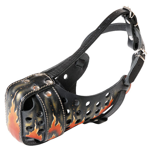 Designer Dog Muzzle with "Flame" Painting for American Bulldog