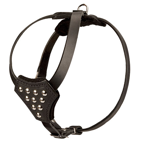 Studded Leather Dog Harness for French Bulldog Walking