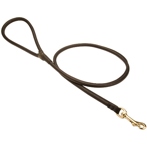 Strong Dog Lead Round Leather for English Bulldog Control (6 mm) - Click Image to Close