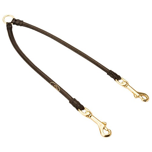 Coupler Leash for Two English Bulldogs Walking with Comfort