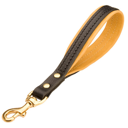 Short Dog Leash with Padded Handle for English Bulldog - Click Image to Close