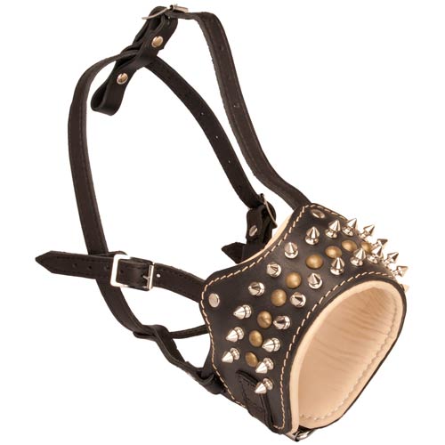 Soft Dog Muzzle with Spikes and Studs for American Bulldog