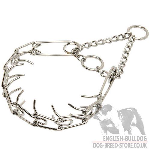 Half Check Collar for Bulldog of Chrome-Plated Steel