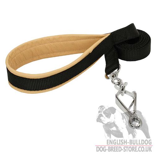 Nylon Dog Lead with Padded Leather Handle and HS Snap Hook - Click Image to Close