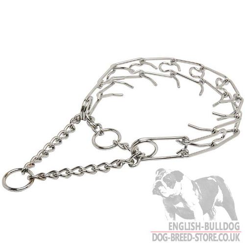 Dog Pinch Collar for Bulldog, Chrome-Plated Martingale - Click Image to Close