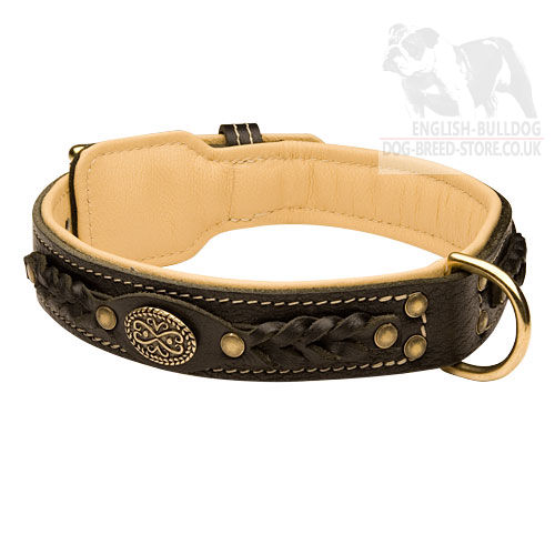 Bestseller! Royal Dog Collar Nappa Padded, Luxury Design for English Bulldog