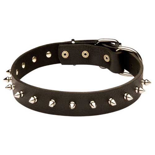 Leather Collar with One Row of Nickel-Plated Spikes for Bulldog