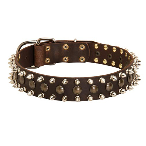 Leather Dog Collar with Silver Spikes and Round Studs