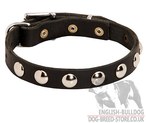 Small Leather Dog Collar for English, French Bulldog Puppy