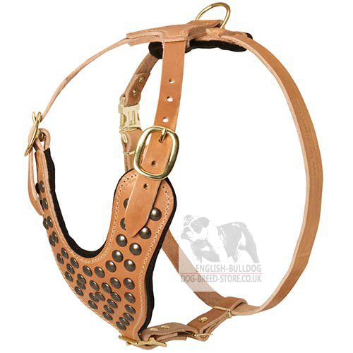 Posh Dog Harness Tan Leather and Brass Spikes for Easy Walking - Click Image to Close