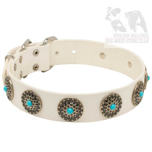 White Leather Dog Collar with Blue Stones for English Bulldog