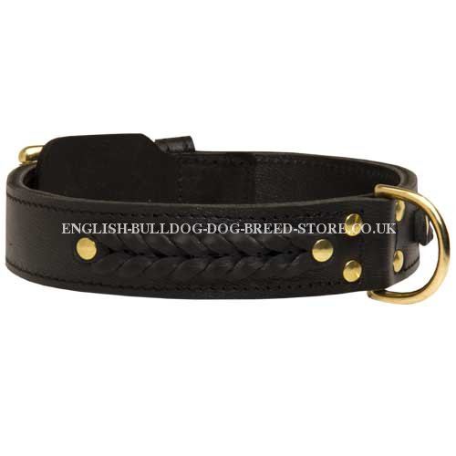 Wide Leather Dog Collar for English Bulldog with Braided Decor - Click Image to Close