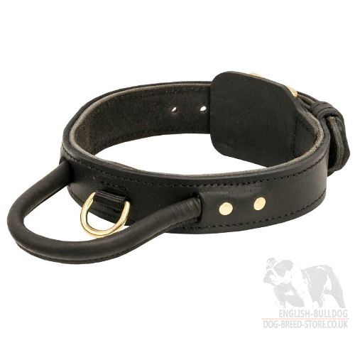 Bestseller! Agitation Dog Collar of Wide Leather with Handle for Bulldog