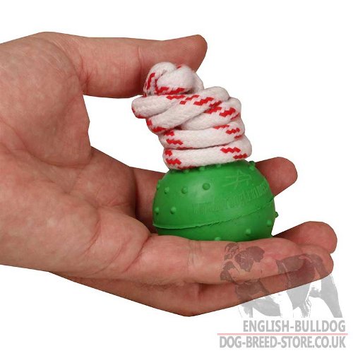 Dog Ball on a String, British Bulldog, Rubber Toy on a Rope