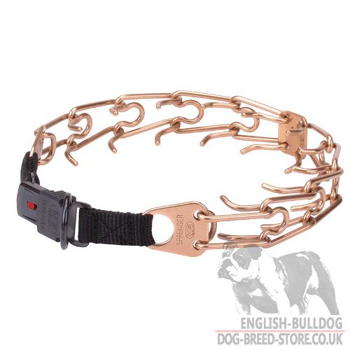 Keep Control of Your Bulldog with Obedience Curogan Pinch Collar