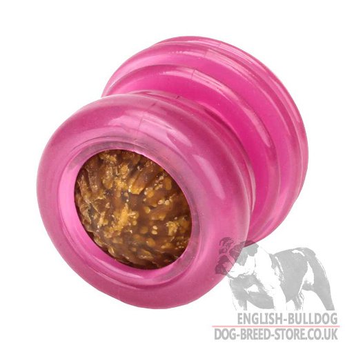 English Bulldog Toy, Hotpink Small Groovy Ball for Puppy