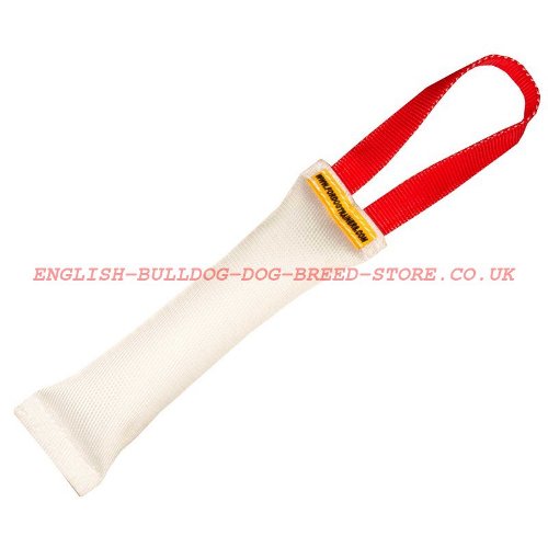 Dog Training Bite Tug with Handle for English Bulldog, Fire Hose