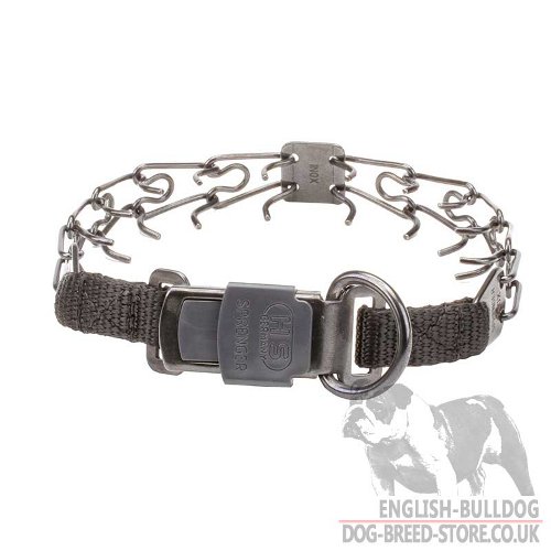 Calm Down Your Naughty Bulldog with Effective Dog Pinch Collar