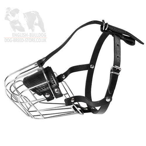 Bestseller! Boston Terrier Muzzle Wire Basket Best for Safe Everyday Use - Click Image to Close
