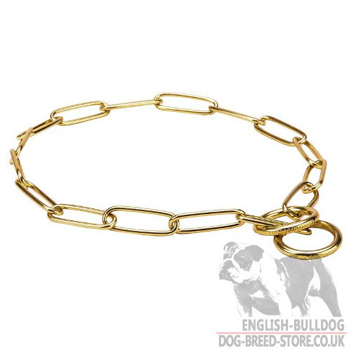 "Shine of Gold" Brass Fur Saver with Large Links for Bulldogs