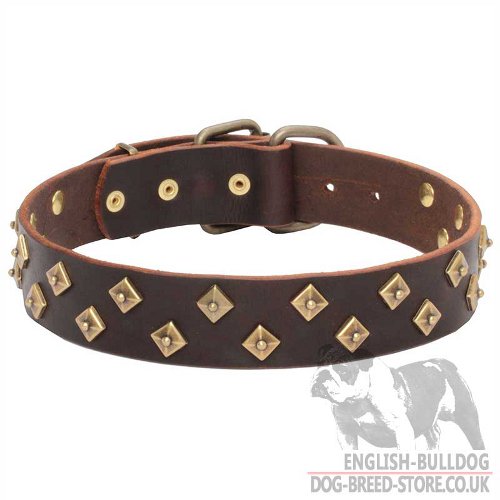 "Golden Pyramids" Attractive Dog Collar for English Bulldog