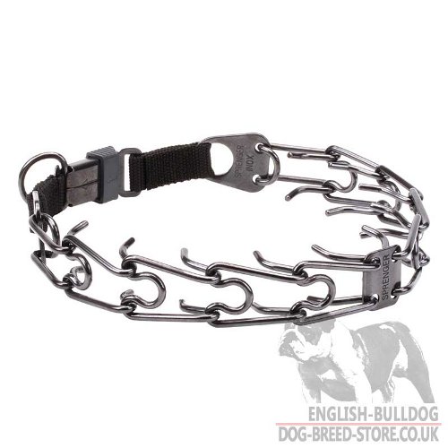 Bulldog Collar Pinch, Click Lock Buckle, Black Stainless Steel