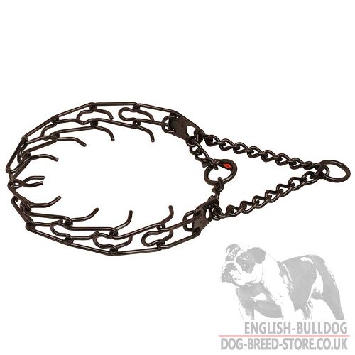Bulldog Collar Pinch of Black Stainless Steel, Trendy Design